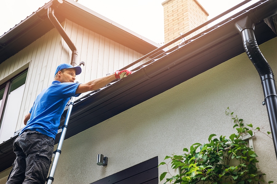 Discover Our Lesser-Known Exterior Services